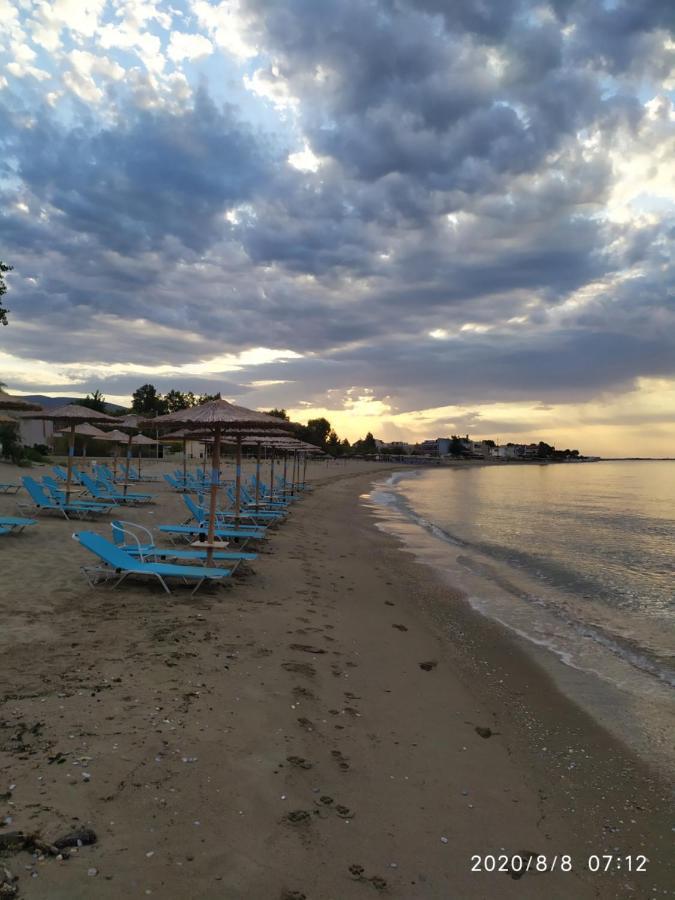 Aegean View Seaside Apartment 카발라 외부 사진